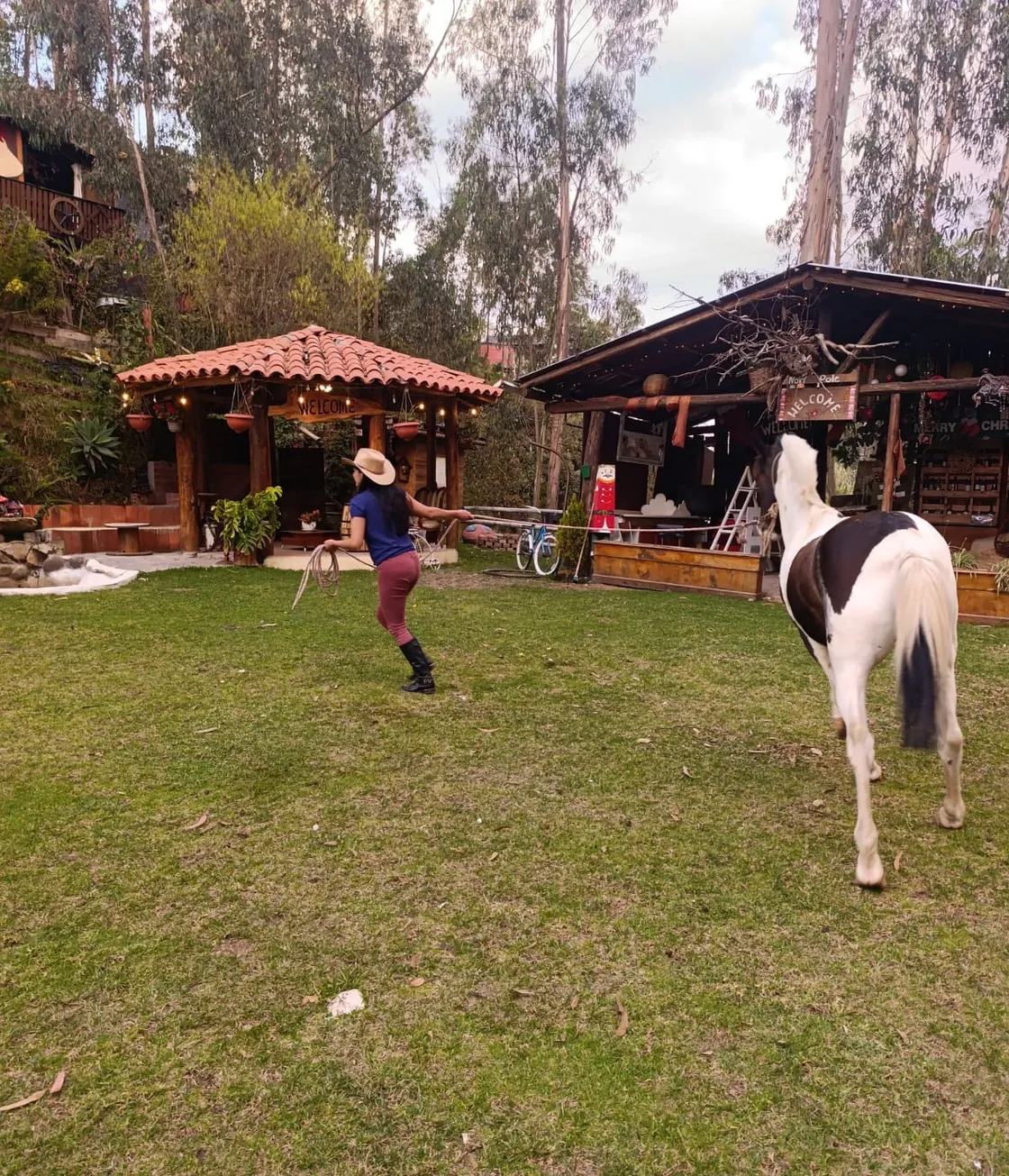 cover for Momentos Especiales